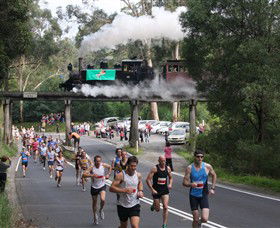 Puffing Billy Steam Railway - Sunshine Coast Guide 7