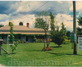 Tumut Valley Violets - Sunshine Coast Guide 0