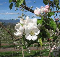 Mouat's Farm - Sunshine Coast Guide