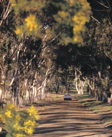 Malyalling ACT Sunshine Coast Guide