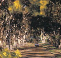 Albert Facey Heritage Trail - Sunshine Coast Guide