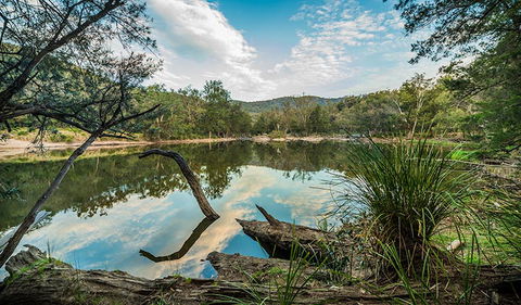 Warrabah National Park - Sunshine Coast Guide 0
