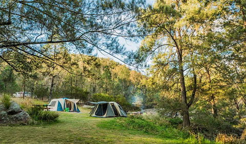 Warrabah National Park - Sunshine Coast Guide 1