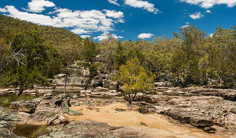Warrabah National Park - Sunshine Coast Guide 3
