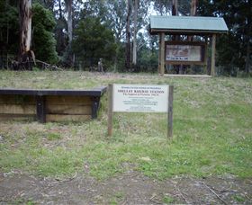 Shelley ACT Sunshine Coast Guide