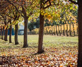 Crittenden Estate - Sunshine Coast Guide 4