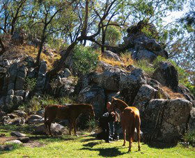  Sunshine Coast Guide
