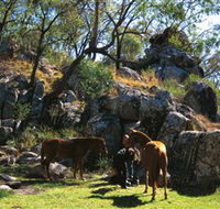 Coomba Falls - Sunshine Coast Guide