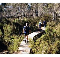 Hume and Hovell Walking Track - Henry Angel Trackhead - Sunshine Coast Guide