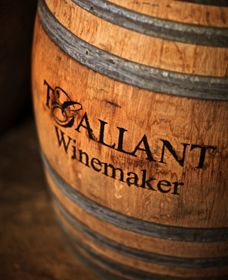 T'Gallant Winemakers - Sunshine Coast Guide 0