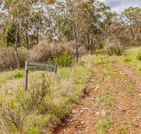 Old Mountain Road Walking Track - Sunshine Coast Guide