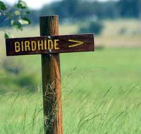 Wooroolin Wetland - Sunshine Coast Guide