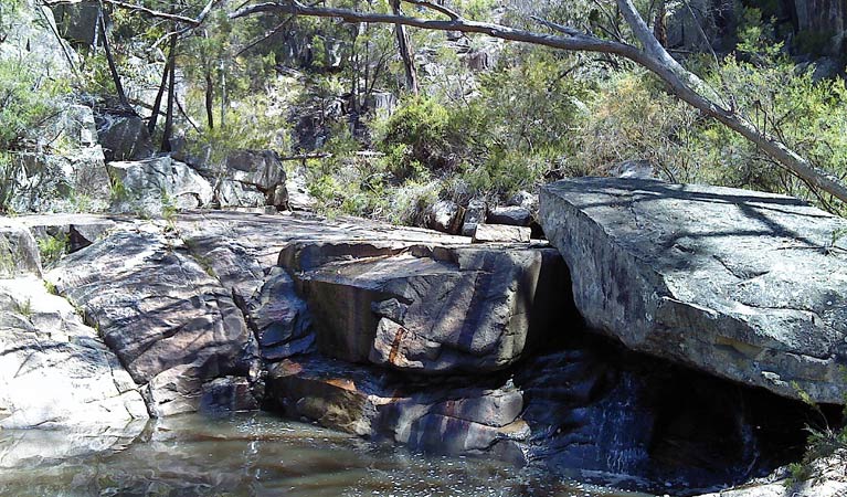 Emmaville NSW Sunshine Coast Guide