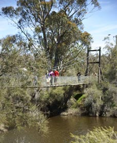 Avon Park - Sunshine Coast Guide 0