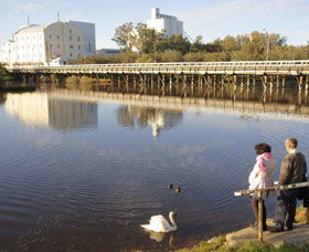 Avon River - Sunshine Coast Guide 1