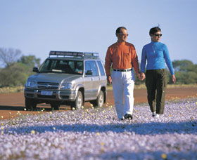 Canna Reserve - Sunshine Coast Guide 1