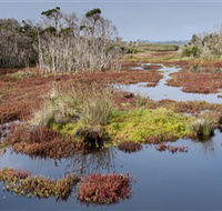 French Island National Park - Sunshine Coast Guide