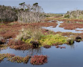 French Island National Park - Sunshine Coast Guide 0