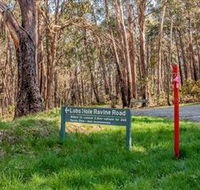 Lobs Hole Ravine 4WD Trail - Sunshine Coast Guide