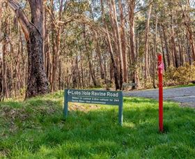 Lobs Hole Ravine 4WD Trail - Sunshine Coast Guide 0