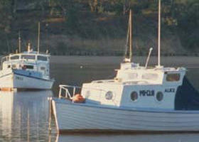 Western Port - Sunshine Coast Guide 0