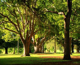 Queens Park, Toowoomba - Sunshine Coast Guide 1