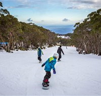 Mt Baw Baw Alpine Resort - Sunshine Coast Guide