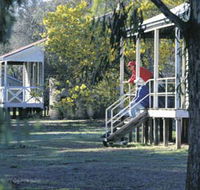 Dryandra Woodland - Sunshine Coast Guide