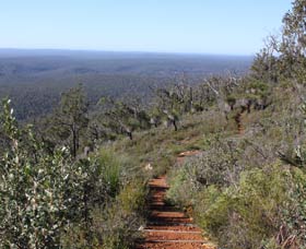 Dale WA Sunshine Coast Guide