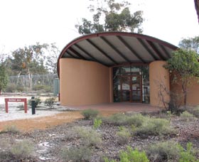 Dryandra ACT Sunshine Coast Guide