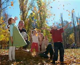 Cotter Avenue Recreation Area - Sunshine Coast Guide 0