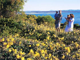 Joseph Banks Conservation Park - Sunshine Coast Guide 0