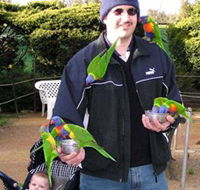 Canberra Walk In Aviary - Sunshine Coast Guide