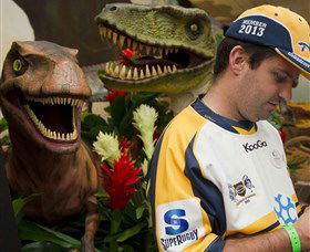 National Dinosaur Museum - Sunshine Coast Guide 3