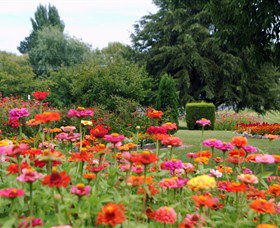 Alma Park - Sunshine Coast Guide 0