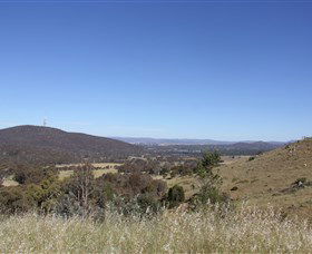 Cattle Creek ACT Sunshine Coast Guide