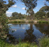 Cooleman Ridge - Sunshine Coast Guide