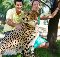 National Zoo  Aquarium - Sunshine Coast Guide
