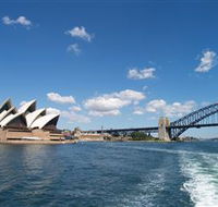 Local Eyes Sydney - Sunshine Coast Guide