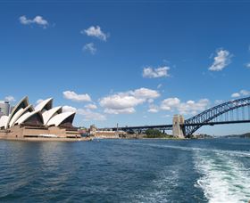 Local Eyes Sydney - Sunshine Coast Guide 0