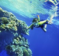 My Mates Tours - Sunshine Coast Guide