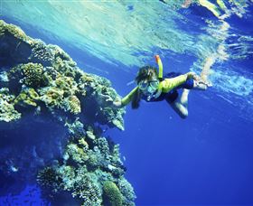 My Mates Tours - Sunshine Coast Guide 0