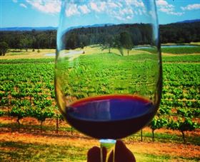 One Day Hunter Valley Day Tours And East Coast Adventures - Zepher Tours - Sunshine Coast Guide 4