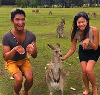Runaway Tours - Sunshine Coast Guide