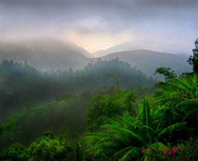 Dingo Tours - Sunshine Coast Guide 2