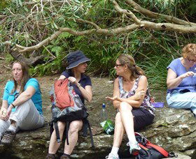 Dingo Tours - Sunshine Coast Guide 1