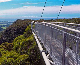 Dingo Tours - Sunshine Coast Guide 4
