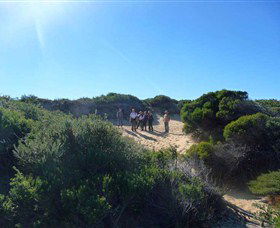 Dingo Tours - Sunshine Coast Guide 7