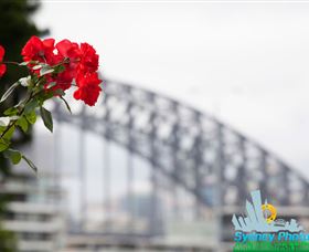 Sydney Photo Tours - Sunshine Coast Guide 3