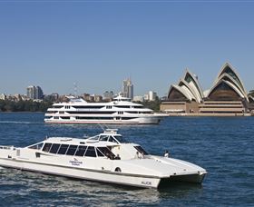 Matilda Cruises - Sunshine Coast Guide 1